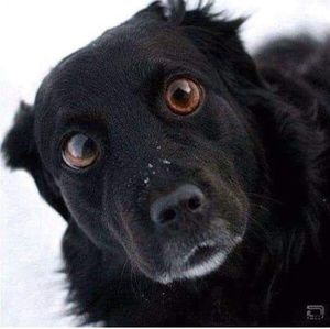 Meet your Posher, Ben